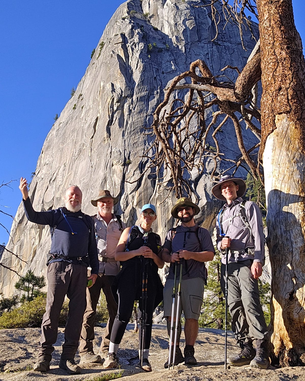 Five hikers wearing outdoor gear and holding trekking poles, smiling as they pose on a rocky slope in front of a towering granite cliff and a twisted, weathered tree under a bright blue sky.